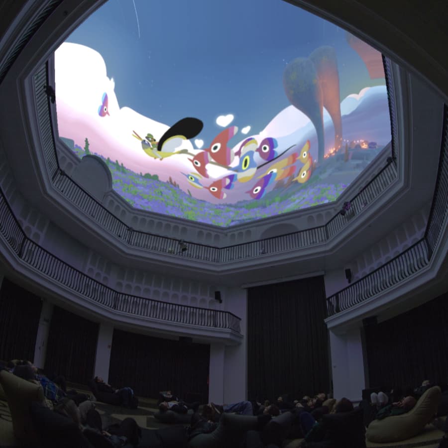 360° Flok